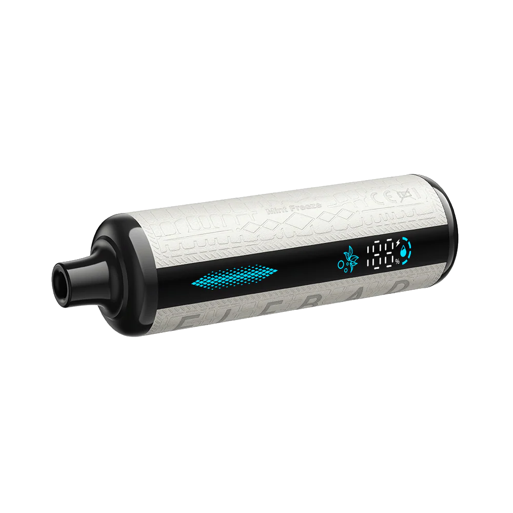 ELFBAR E-Shisha 30K - Mint Freeze - Image 8